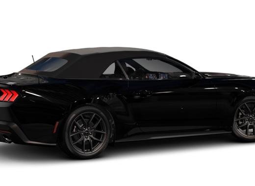 Mustang Night Pony