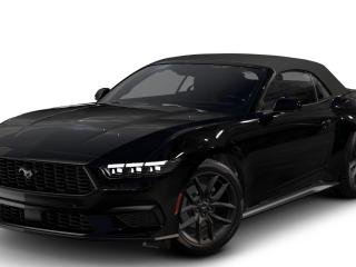 Mustang Night Pony
