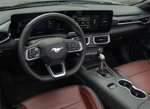 Mustang Night Pony