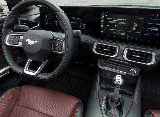Mustang Night Pony